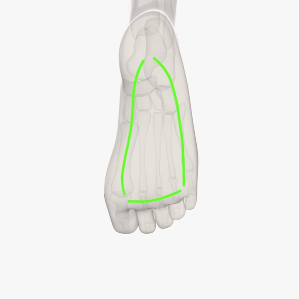 Stella - Orthopedic Sneakers | Stinaa.J Official Store